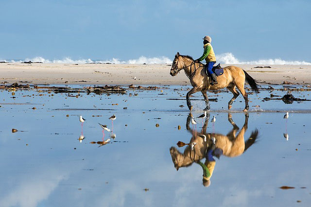 horse riding - outdoor activities to try in wales